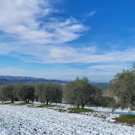 فندق Dimora In Francigena San Quirico dʼOrcia المظهر الخارجي الصورة