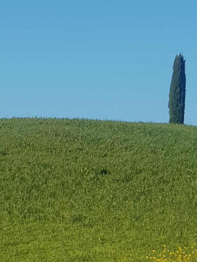 فندق Dimora In Francigena San Quirico dʼOrcia المظهر الخارجي الصورة