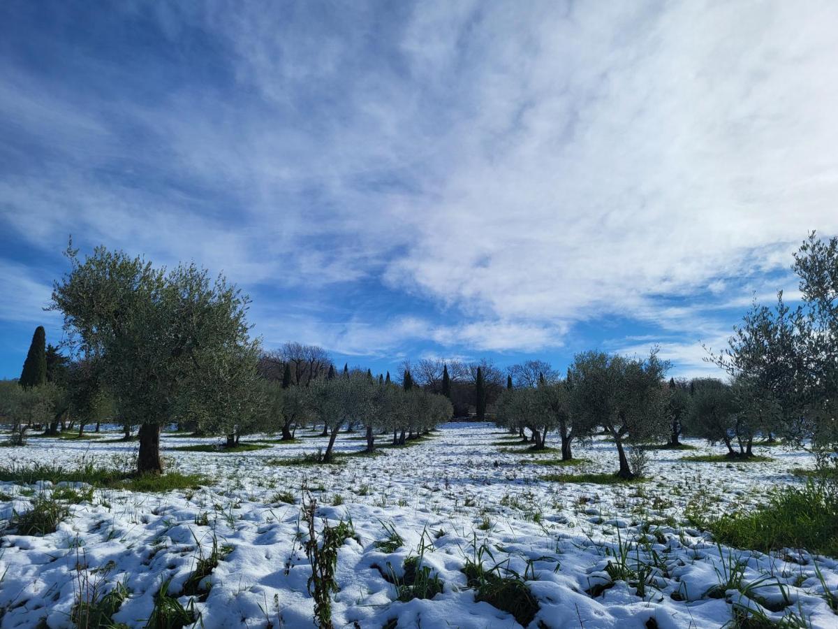 فندق Dimora In Francigena San Quirico dʼOrcia المظهر الخارجي الصورة